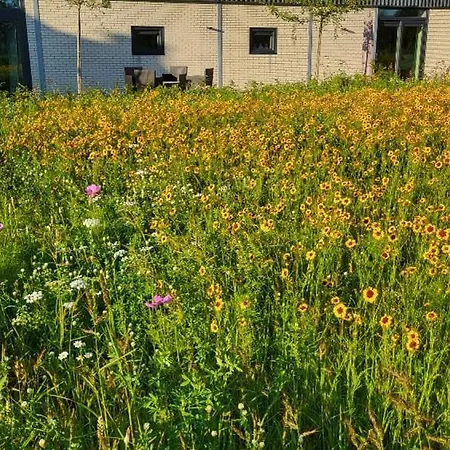 Buitengewoon Holiday home