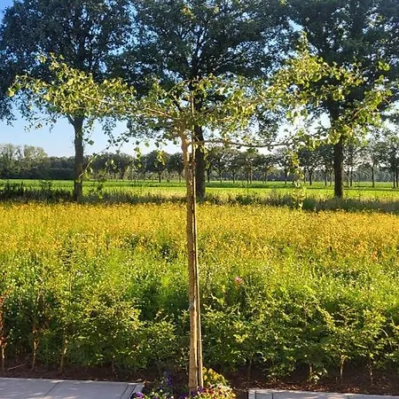 Buitengewoon Holiday home