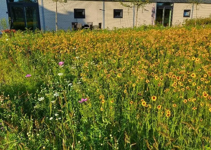 Buitengewoon Hébergement de vacances