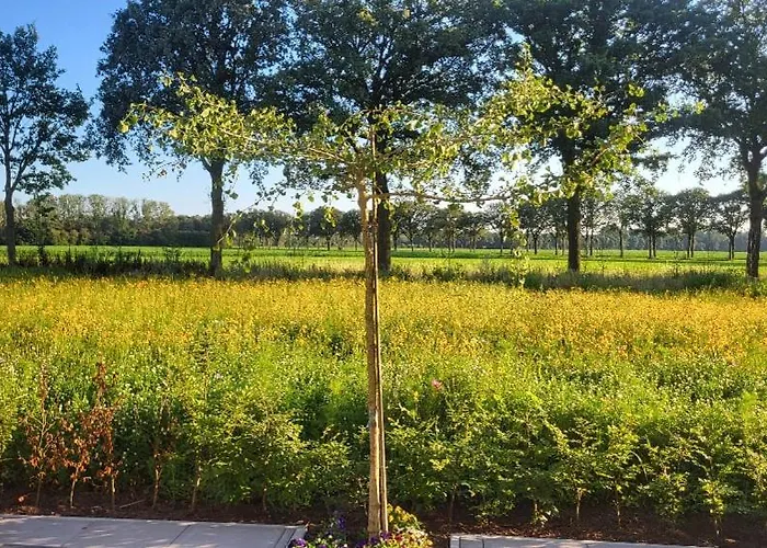 Buitengewoon Hébergement de vacances