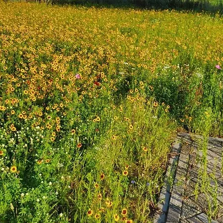 Buitengewoon Ferienhaus *