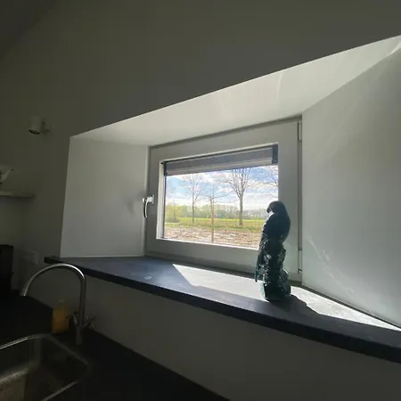 Buitengewoon Ferienhaus