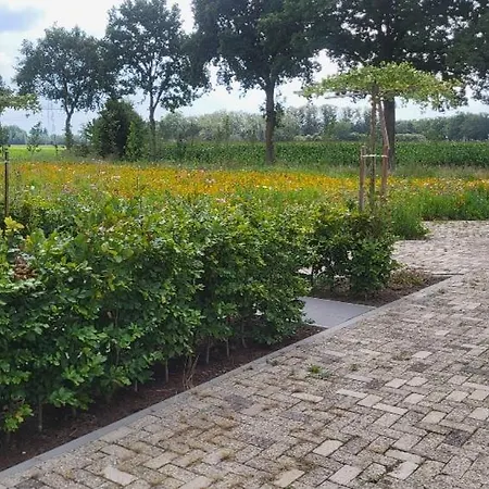 Ferienhaus Buitengewoon *