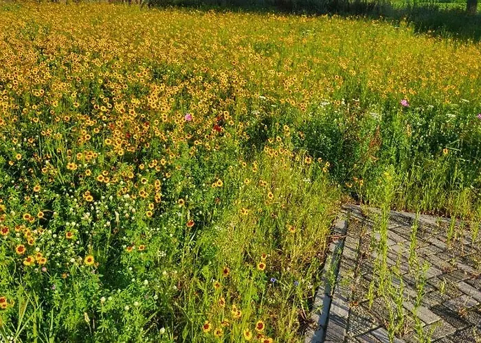 Buitengewoon Дом отдыха *