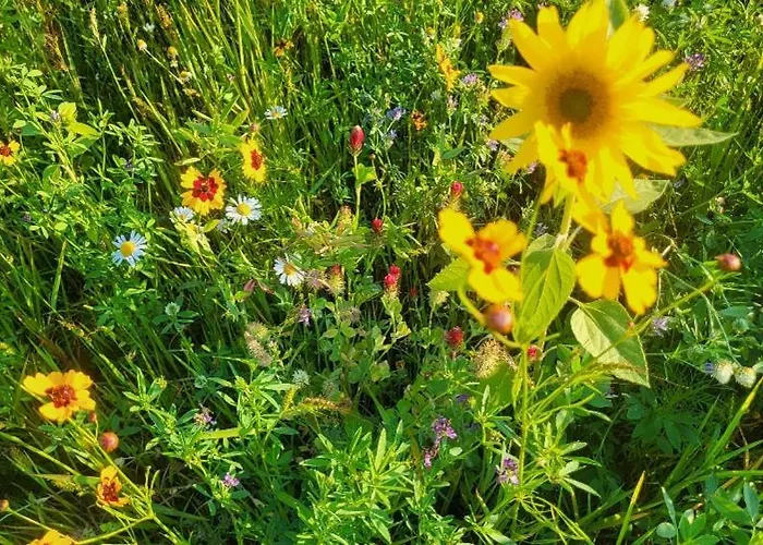 Buitengewoon Дом отдыха Beers (North Brabant)